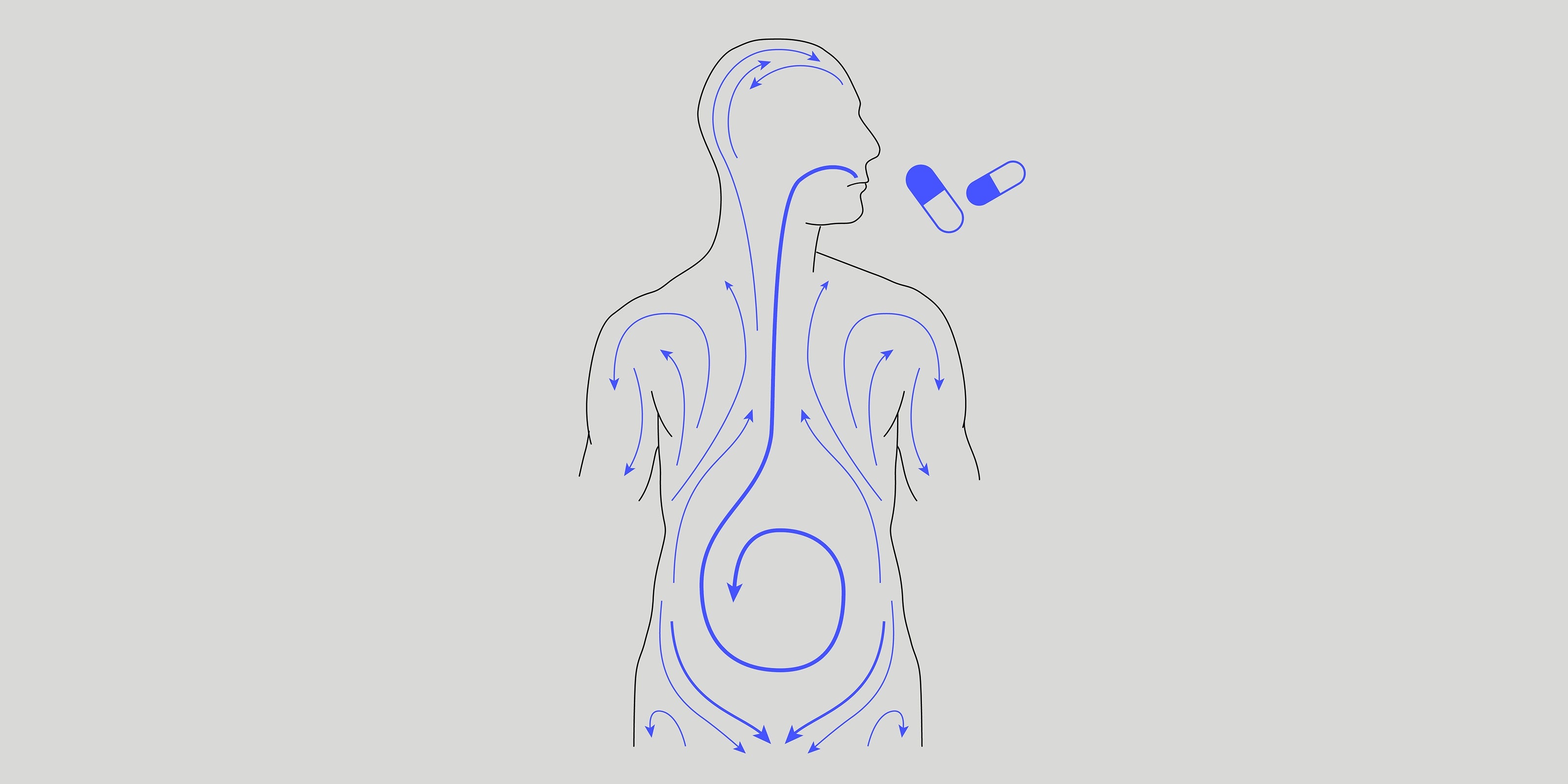 illustration of how finasteride pills work