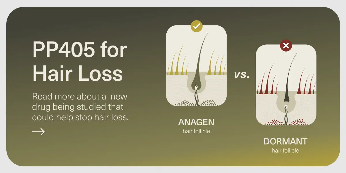 PP405 hair loss article banner image