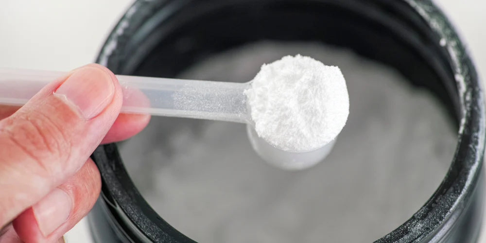 Person holding a scoop of creatine powder from a tub.